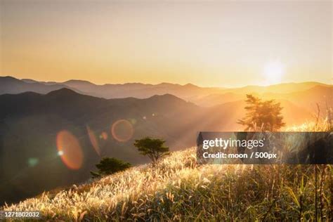  Taebaek Mountains Sunsetin İri, Yumuşak Çizgilerle Tasvir Ettiği Doğanın Büyüsü!